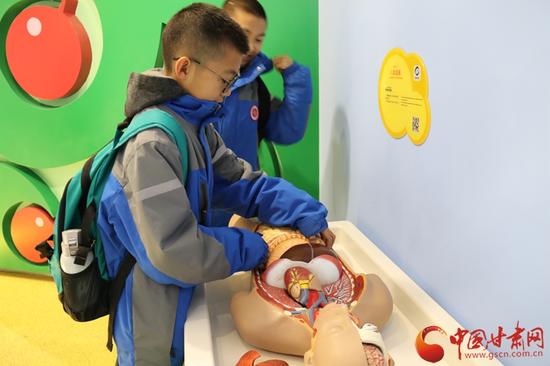 小学生们在认真拼凑人体中的各个器官
