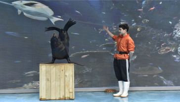 海洋馆_10_1
